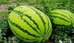 梁山大瓜爆料视频最新,最新视频爆料梁山好汉真相