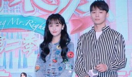 娱乐圈吃瓜之歌